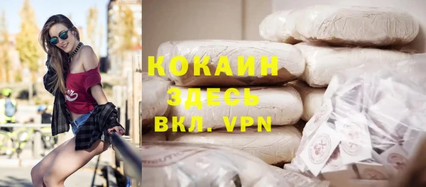 мдпв Пестово