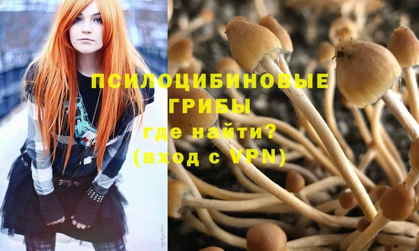 экстази Белокуриха