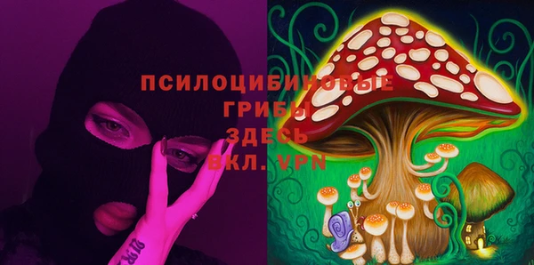 экстази Белокуриха